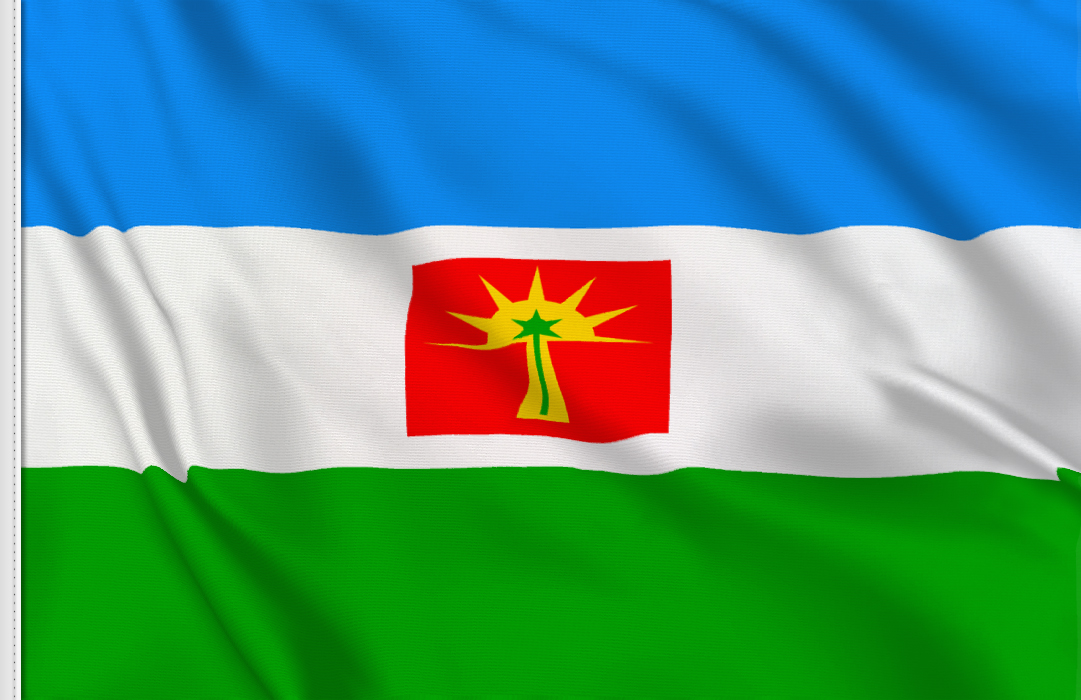 bandera de Estado Barinas