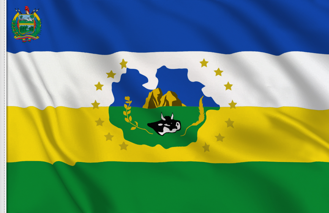 Guarico flag