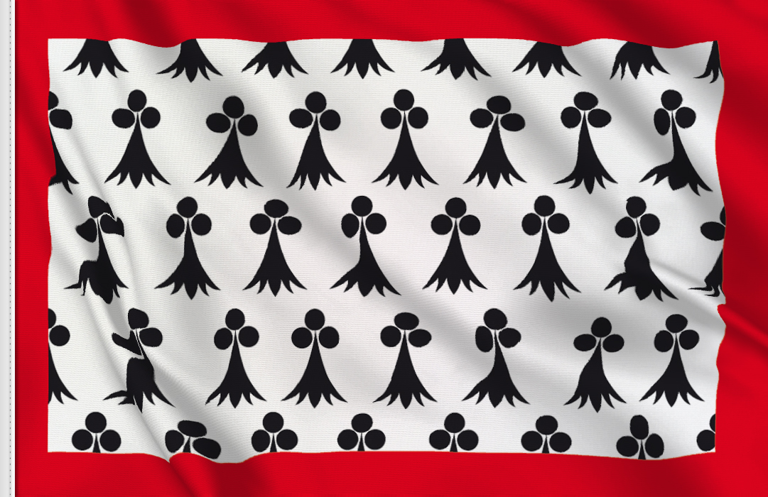 bandera de Lemosin