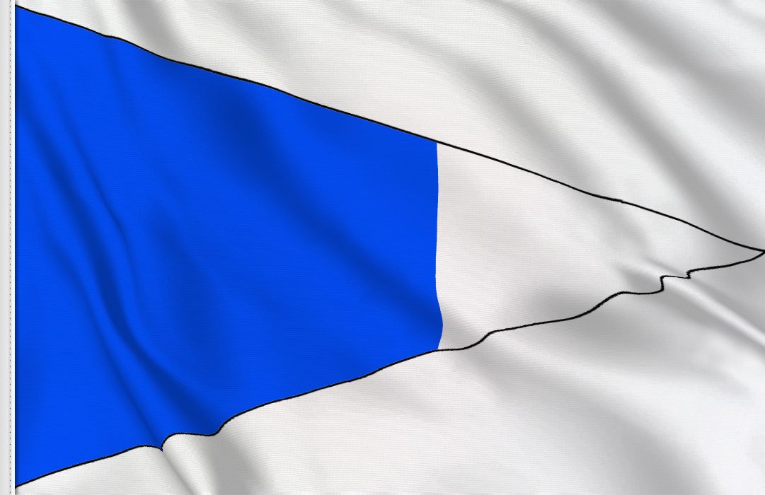 Second substitute flag Second substitute flag
