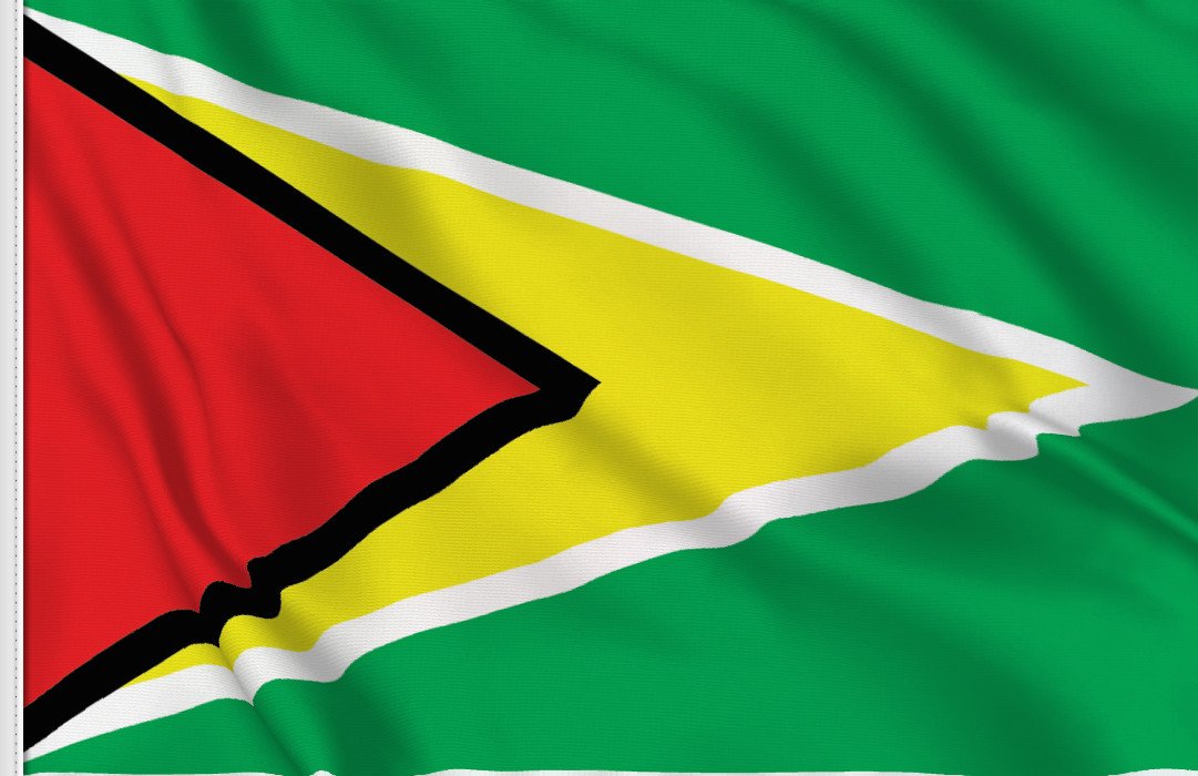 Guyana flag