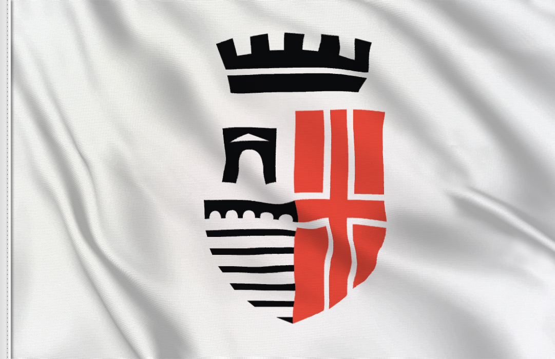Rimini flag