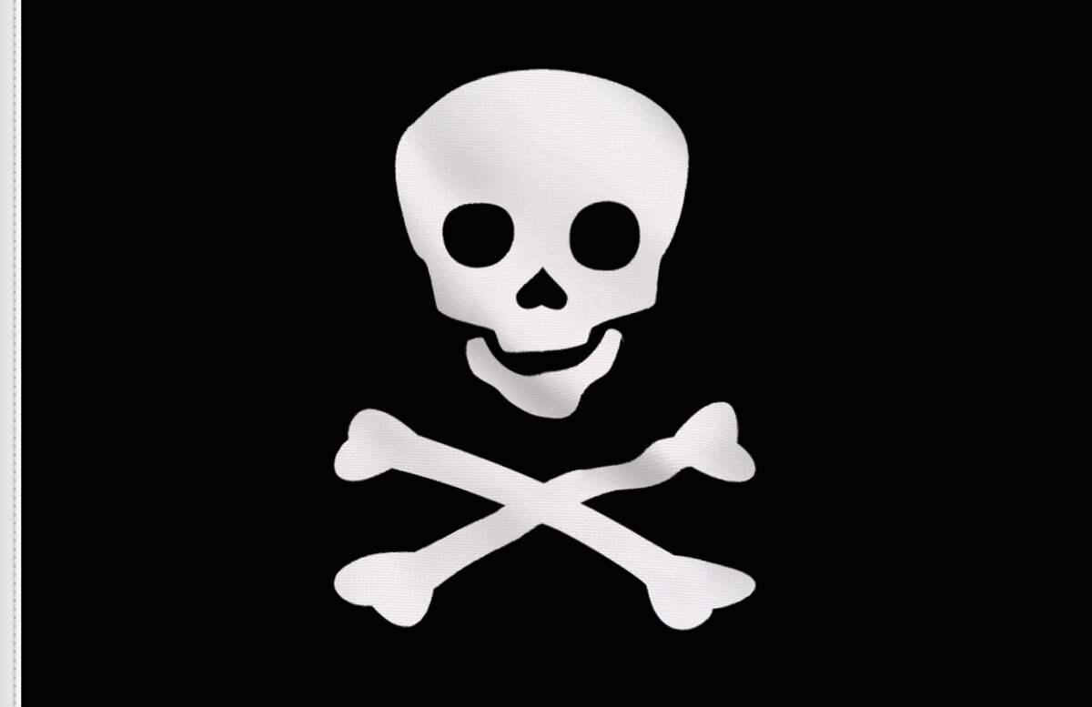 Drapeau de pirate – Bannière d'extérieur en nylon Jolly Roger de 91 x 152  cm avec broderie double face avec crâne et épées (style calico jack)