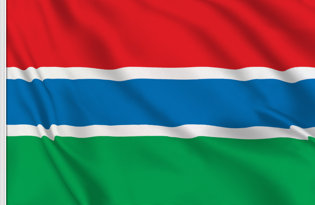 Gambia Table Flag