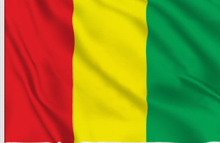 Guinea Table Flag