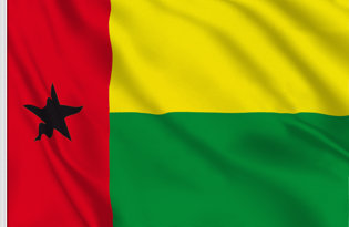 Guinea Bissau Table Flag