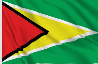 Guyana Table Flag