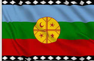 Bandera Mapuche