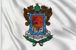 Bandera Michoacan