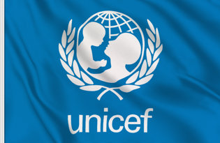 Unicef Table Flag