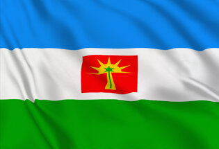 Bandera Estado Barinas