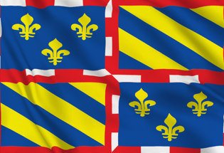 Bandera Borgoña