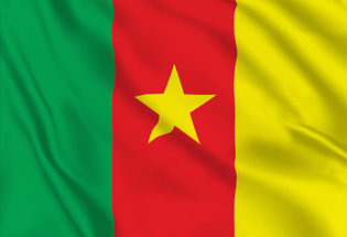 Flag Cameroon