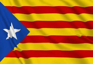 Flag Estelada