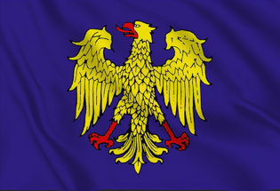 Bandera Friul Eagle