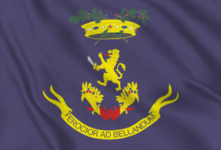 Flag Frosinone Province