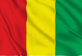 Bandera Guinea