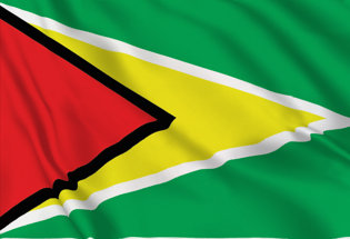 Flag Guyana