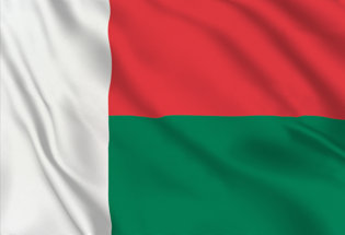 Flag Madagascar