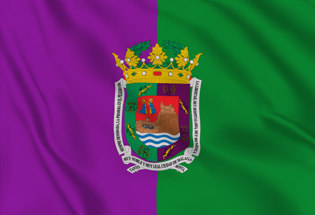 Bandera Malaga