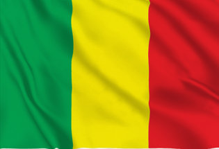 SHATCHI Grand drapeau du Sénégal en polyester avec œillets en