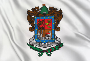 Bandera Michoacan