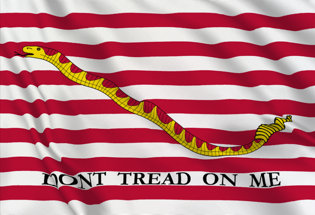 Bandera United States Naval Jack