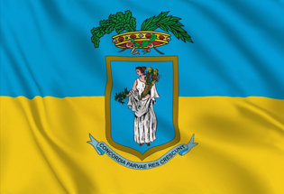 Bandera Pordenone Provincia