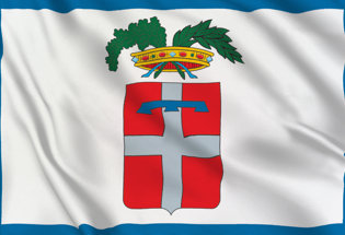 Turin Province Flag 