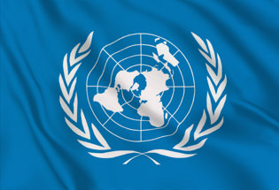 Bandera ONU