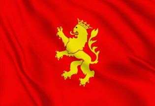 Bandera Zaragoza