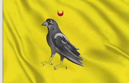 Bandera Baronia Caux