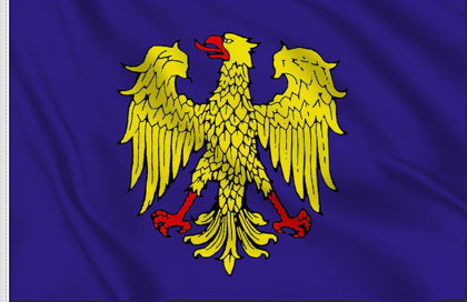 Flag Friul Eagle