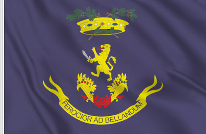 Flag Frosinone Province