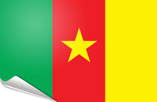 Adhesive flag Cameroon