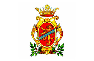 Frosinone Flag