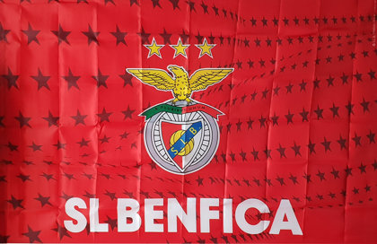 Flag Official Sport Lisboa e Benfica