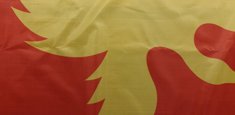 Sublimation printing New Guinea Flag