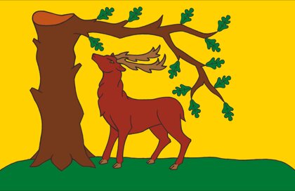 Berkshire County Flag