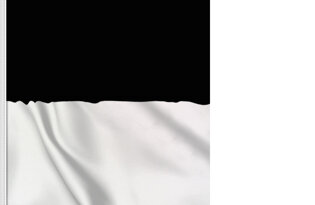 Bandera Friburgo