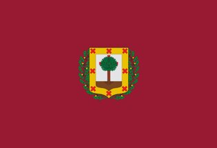 La bandera de la Provincia de Vizcaya