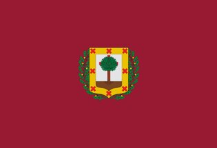 La bandera de la Provincia de Vizcaya